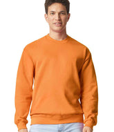 GD67 Tangerine Model